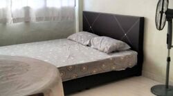 Blk 243 Bukit Batok East Avenue 5 (Bukit Batok), HDB 3 Rooms #504338651